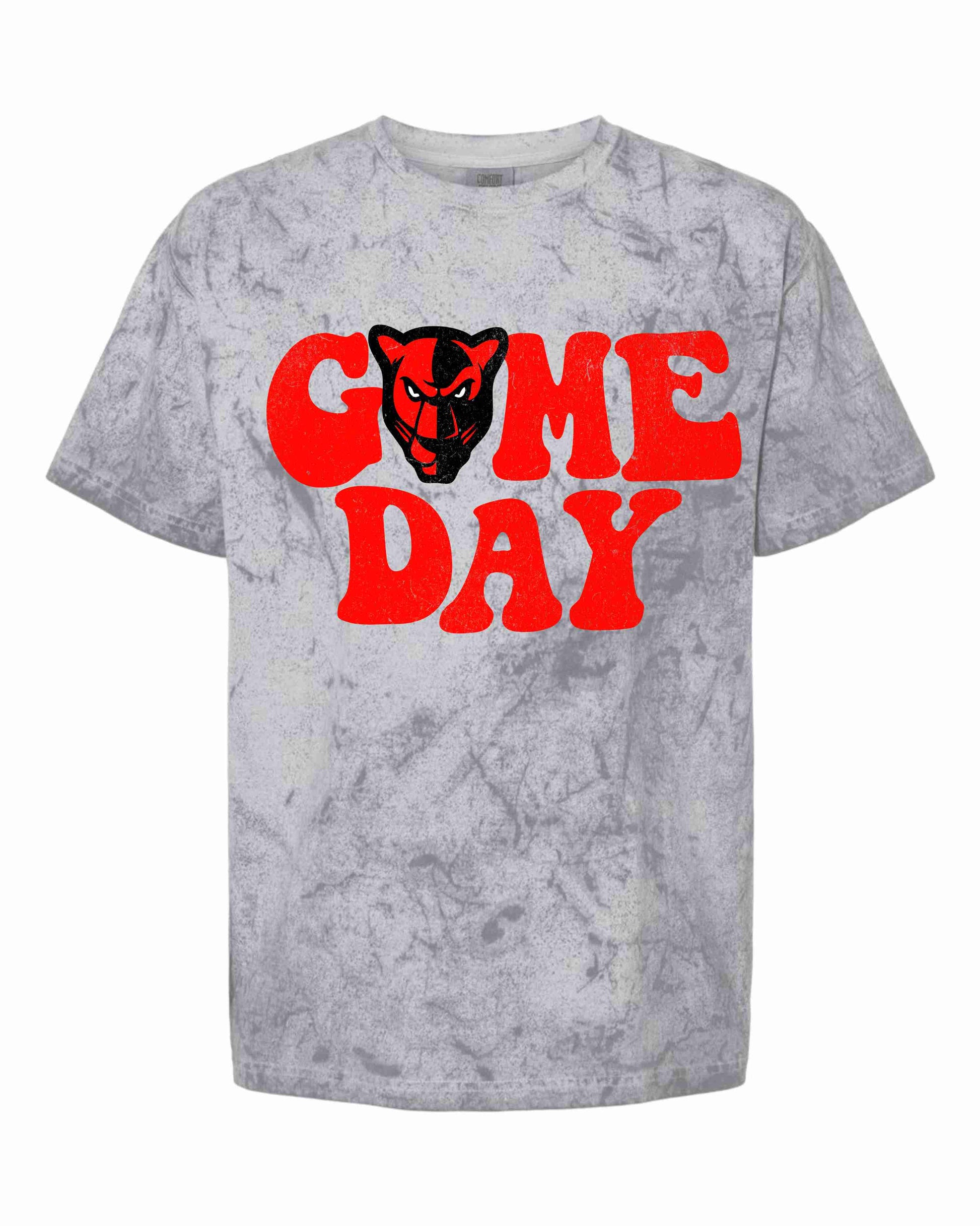 acid wash grey game day tshirt with a red panther