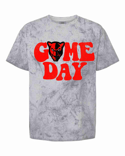 acid wash grey game day tshirt with a red panther